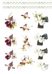Stanzbogen-Buch Nr.5 - Flowers / Blten