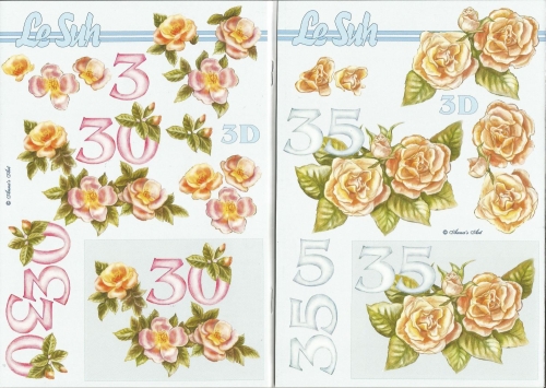 3D-Buch A5 Jubilum von LeSuh (345603)