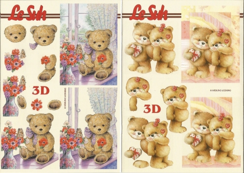 3D-Buch A5 Bren von LeSuh (345612)