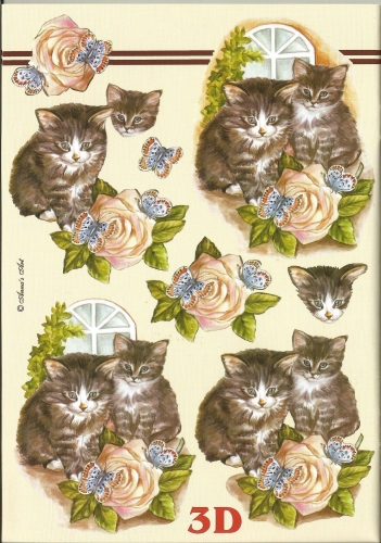 3D-Buch A5 Katzen von LeSuh (345625)