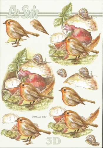 3D-Buch A5 Pilze von LeSuh (345638)