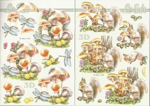 3D-Buch A5 Pilze von LeSuh (345638)