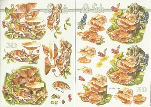 3D-Buch A5 Pilze von LeSuh (345638)