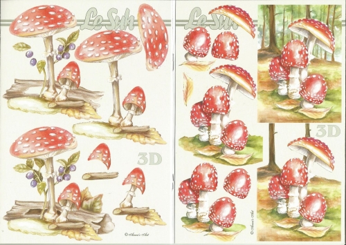 3D-Buch A5 Pilze von LeSuh (345638)
