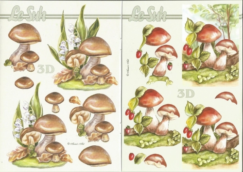3D-Buch A5 Pilze von LeSuh (345638)