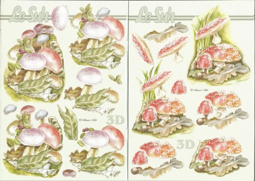 3D-Buch A5 Pilze von LeSuh (345638)