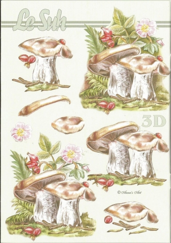 3D-Buch A5 Pilze von LeSuh (345638)