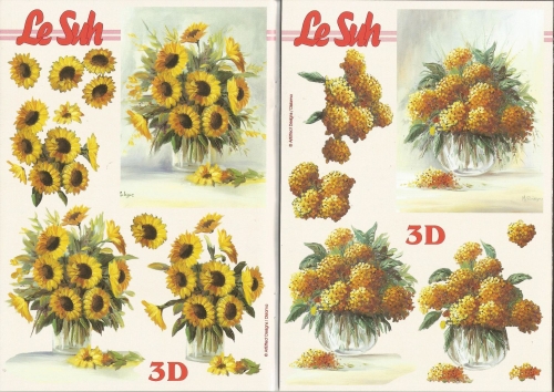 3D-Buch A5 Blumen von LeSuh (345633)