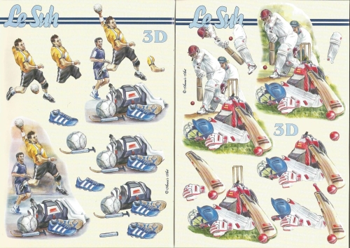 3D-Buch A5 Sport von LeSuh (345645)