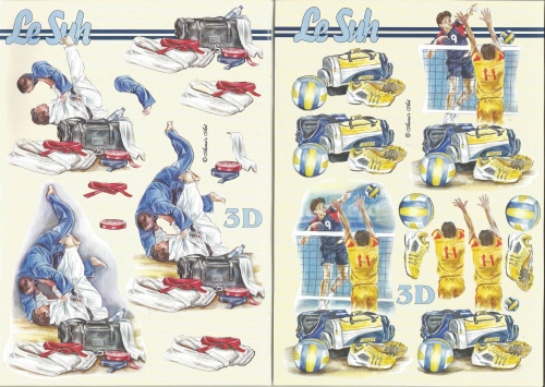 3D-Buch A5 Sport von LeSuh (345645)