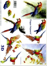 3D-Bogen Papagei von LeSuh (4169136)