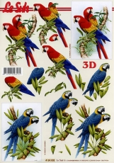 3D-Bogen Papageien von LeSuh (4169802)