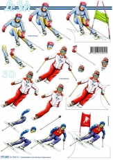 3D-Bogen Skifahrer von LeSuh (777.492)