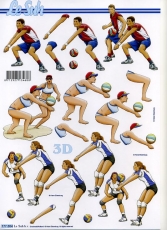 3D-Bogen Volleyball von LeSuh (777.504)