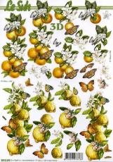 3D-Bogen Zitronen & Orangen von Nouvelle (8215323)
