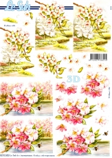 3D-Bogen Kirschblte von Nouvelle (8215652)