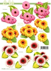 3D-Bogen Blumen von LeSuh (777.292)