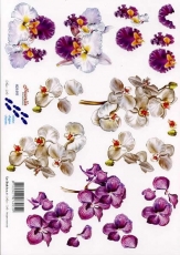 3D-Bogen Orchideen von Nouvelle (821591)