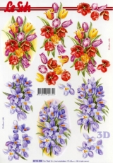 3D-Bogen Frhlingsblumen von Nouvelle (8215228)