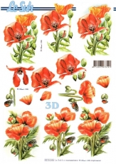 3D-Bogen Klatschmohn von Nouvelle (8215346)