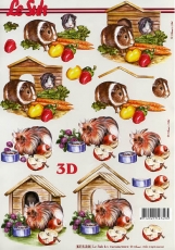 3D-Bogen Meerschweinchen von Nouvelle (8215246)