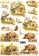 3D-Bogen Wildschweine von Nouvelle (8215412)