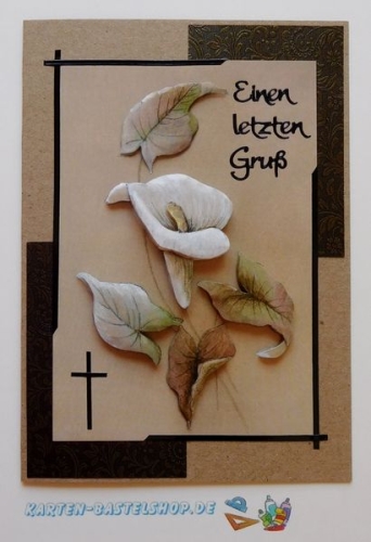 Doppelkarten-Set - natur - 6 Karten A6 & 6 Umschlge C6 (Card Making)