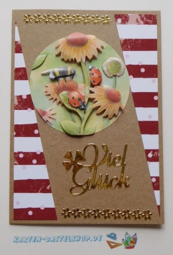 Doppelkarten-Set - natur - 6 Karten A6 & 6 Umschlge C6 (Card Making)