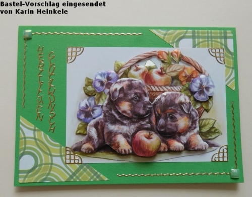 Doppelkarten-Set - grn - 6 Karten A6 & 6 Umschlge C6 (Card Making)