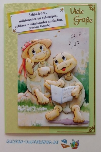 50 Doppelkarten A6 + 50 Umschlge im Set -pastell (Card Making)