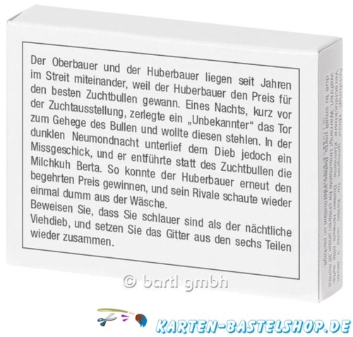 Mini-Knobelspiel - Das Bullen-Gitter