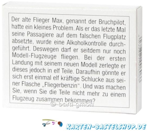 Mini-Holzpuzzle - Das Flieger-Puzzle