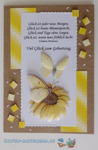 3D-Bogen - Schmetterlinge - Jeanines Art (930)