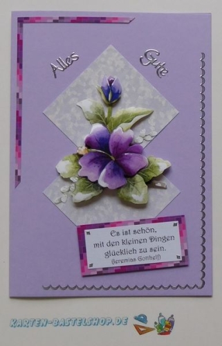 Das kleine Bastelset Zeitlos schne Gre mit Stanzbgen fr 6 Karten (KLS07)