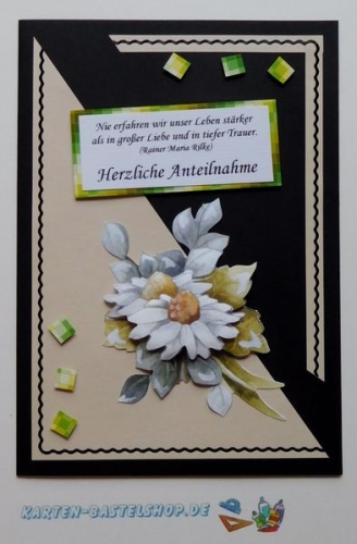 Das kleine Bastelset Kondolenz mit Stanzbgen fr 6 Karten (KLS09)