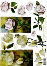 3D-Bogen Weie Rose von LeSuh (4169160)
