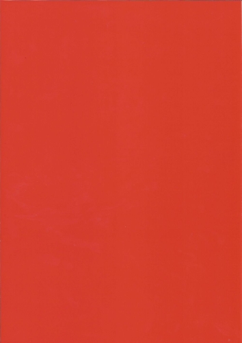 10x Bastelkarton A4 Karo-Line Rot (KBS013)