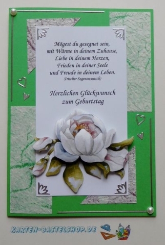 Bastelset Nr.9 Rosen fr 12 Karten (mit Ideen-Blatt)