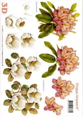 3D-Bogen Rhododendron von LeSuh (416945)