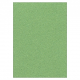 10x Karten-Karton A4 apfelgrün von Card Deco