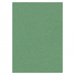 1x Karten-Karton A4 grn von Card Deco