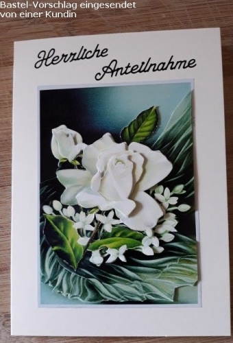 3D-Bogen Weie Rosen von LeSuh (4169625)