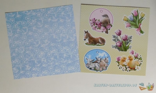 Paperpack - 23 Bgen - Enjoy Spring - Amy Design