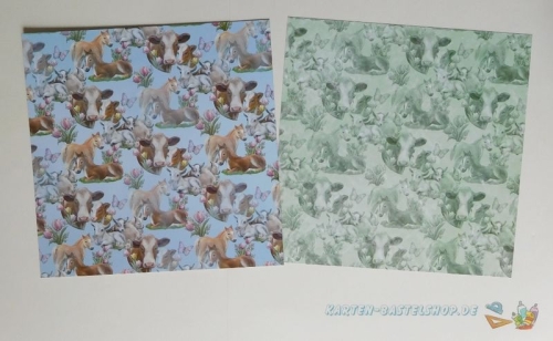 Paperpack - 23 Bgen - Enjoy Spring - Amy Design