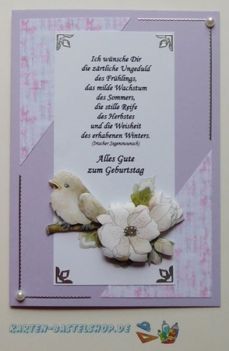 Bastelset Nr.10 Vgel fr 12 Karten (mit Ideen-Blatt)