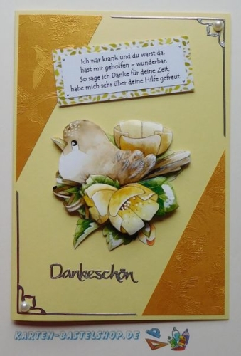 Bastelset Nr.10 Vgel fr 12 Karten (mit Ideen-Blatt)