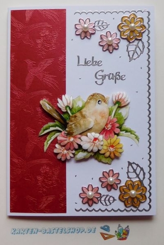 Bastelset Nr.10 Vgel fr 12 Karten (mit Ideen-Blatt)