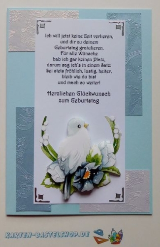 Bastelset Nr.10 Vgel fr 12 Karten (mit Ideen-Blatt)