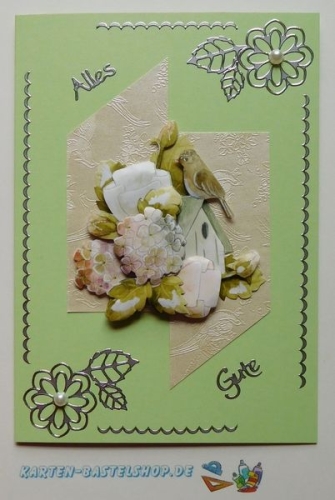 Bastelset Nr.10 Vgel fr 12 Karten (mit Ideen-Blatt)