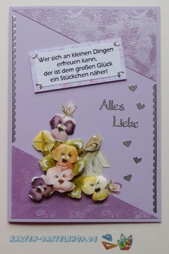 Bastelset Nr.10 Vgel fr 12 Karten (mit Ideen-Blatt)